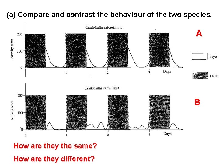 (a) Compare and contrast the behaviour of the two species. A B How are