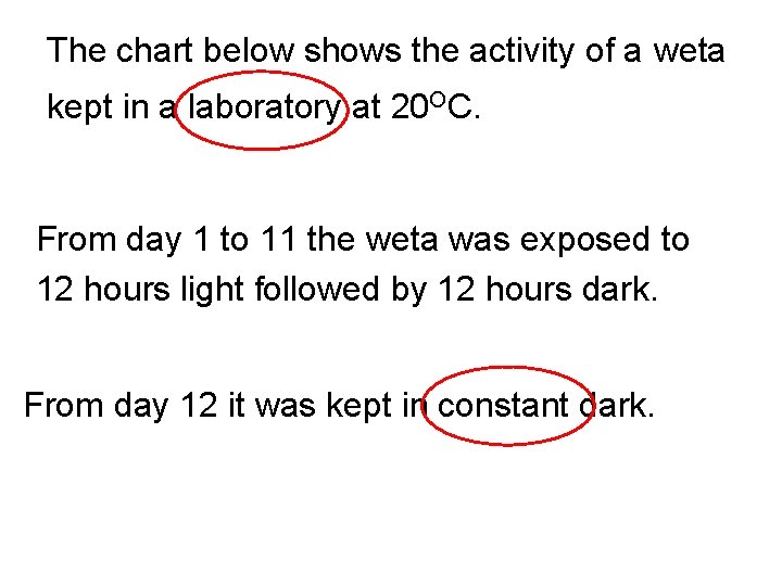 The chart below shows the activity of a weta kept in a laboratory at