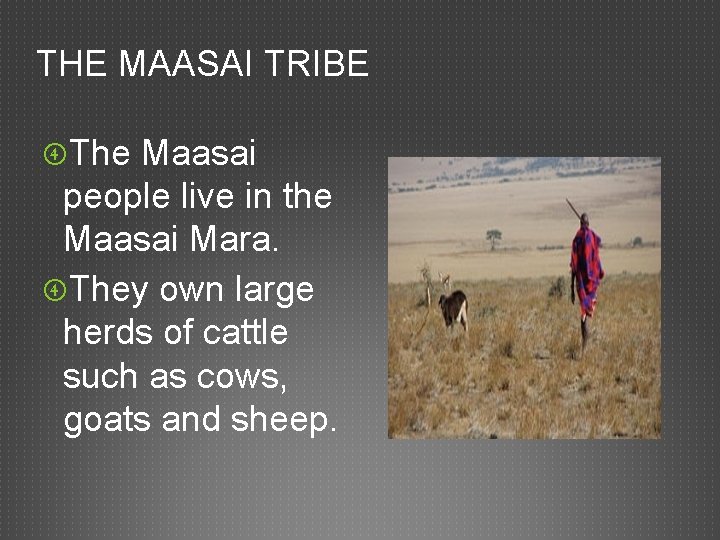 THE MAASAI TRIBE The Maasai people live in the Maasai Mara. They own large