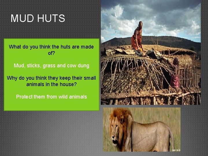 MUD HUTS What do you think the huts are made of? Mud, sticks, grass