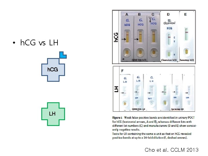  • h. CG vs LH h. CG LH Cho et al. CCLM 2013