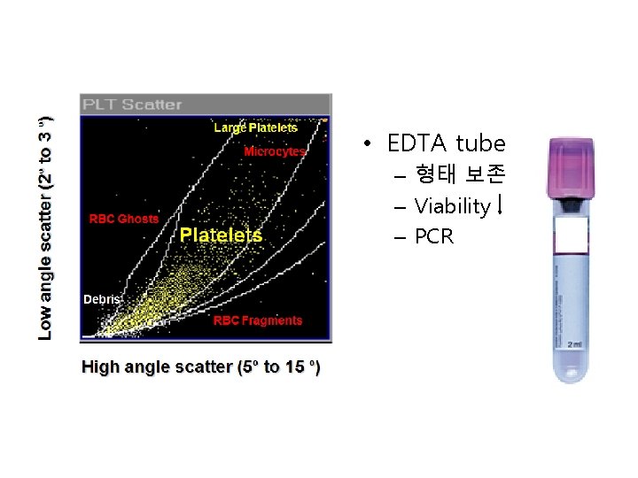  • EDTA tube – 형태 보존 – Viability – PCR 