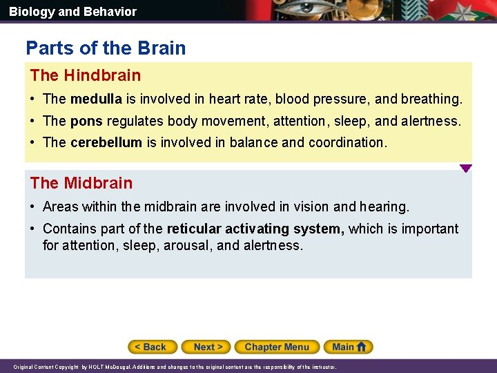 Biology and Behavior Parts of the Brain The Hindbrain • The medulla is involved