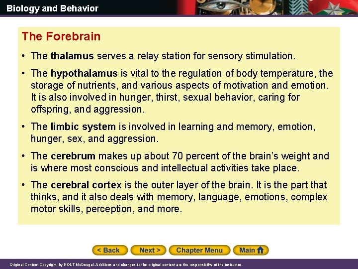 Biology and Behavior The Forebrain • The thalamus serves a relay station for sensory