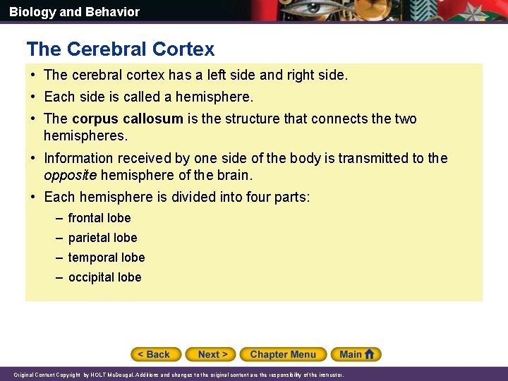 Biology and Behavior The Cerebral Cortex • The cerebral cortex has a left side