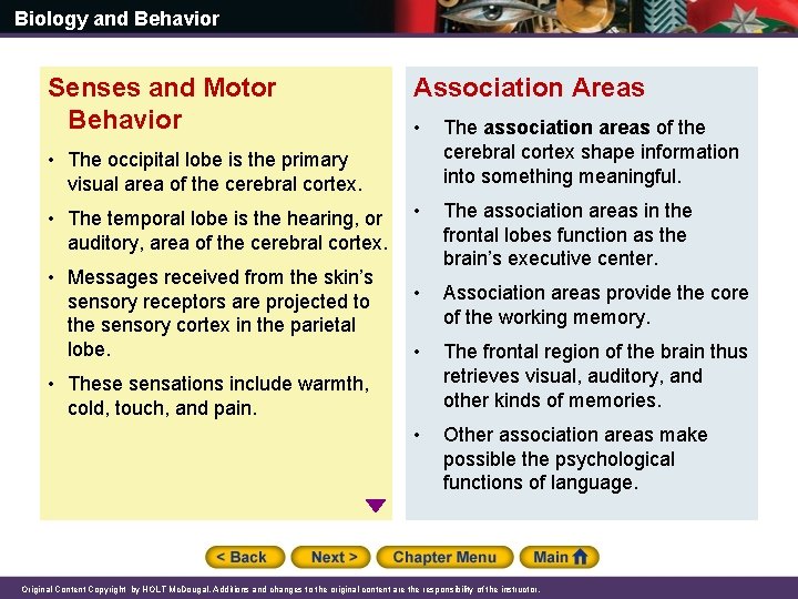 Biology and Behavior Senses and Motor Behavior Association Areas • The association areas of