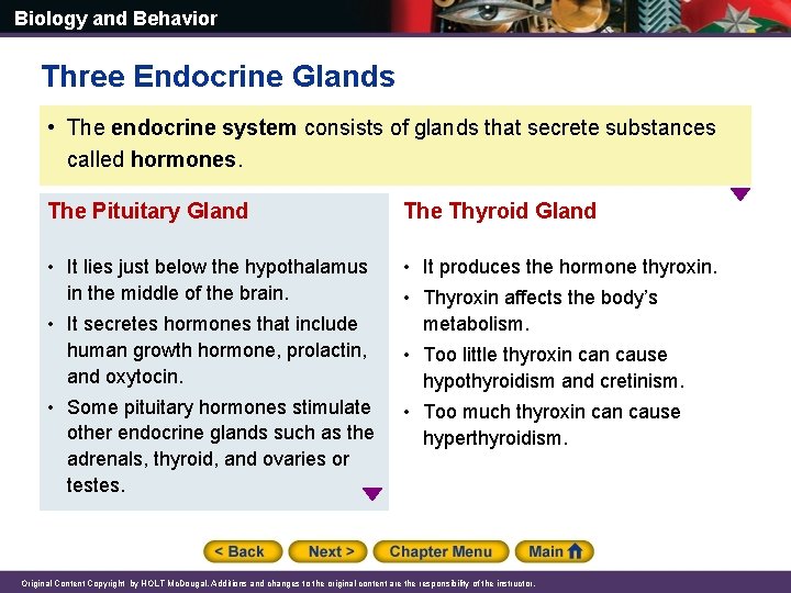Biology and Behavior Three Endocrine Glands • The endocrine system consists of glands that