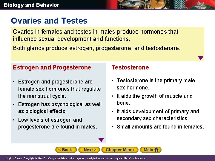 Biology and Behavior Ovaries and Testes Ovaries in females and testes in males produce