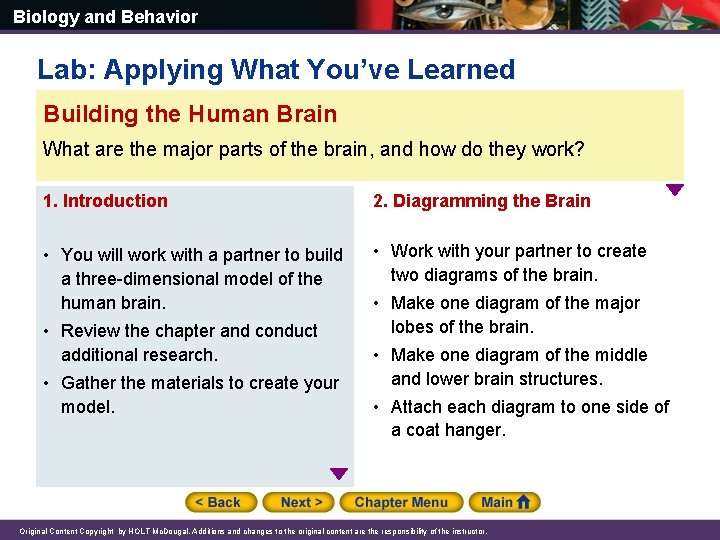 Biology and Behavior Lab: Applying What You’ve Learned Building the Human Brain What are