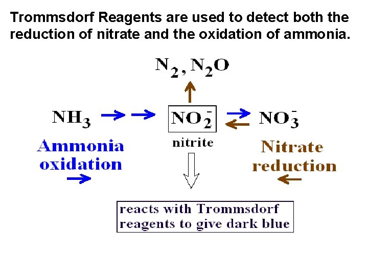 Trommsdorf Reagents are used to detect both the reduction of nitrate and the oxidation