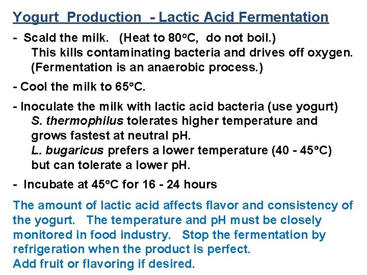 Yogurt Production - Lactic Acid Fermentation - Scald the milk. (Heat to 80 o.