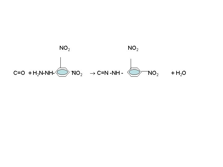 NO 2 C=O + H 2 N-NH- NO 2 C=N -NH - NO 2