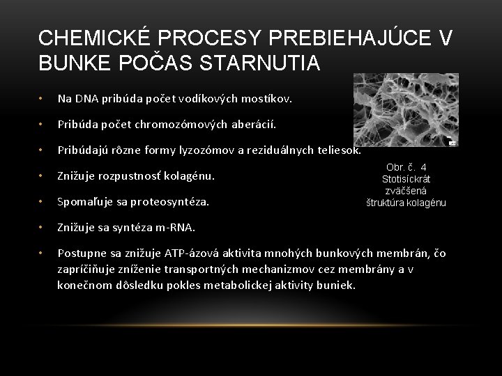 CHEMICKÉ PROCESY PREBIEHAJÚCE V BUNKE POČAS STARNUTIA • Na DNA pribúda počet vodíkových mostíkov.