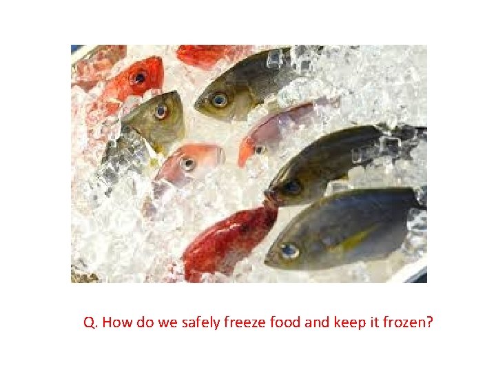 Q. How do we safely freeze food and keep it frozen? 