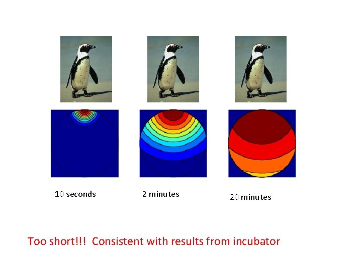 10 seconds 2 minutes 20 minutes Too short!!! Consistent with results from incubator 