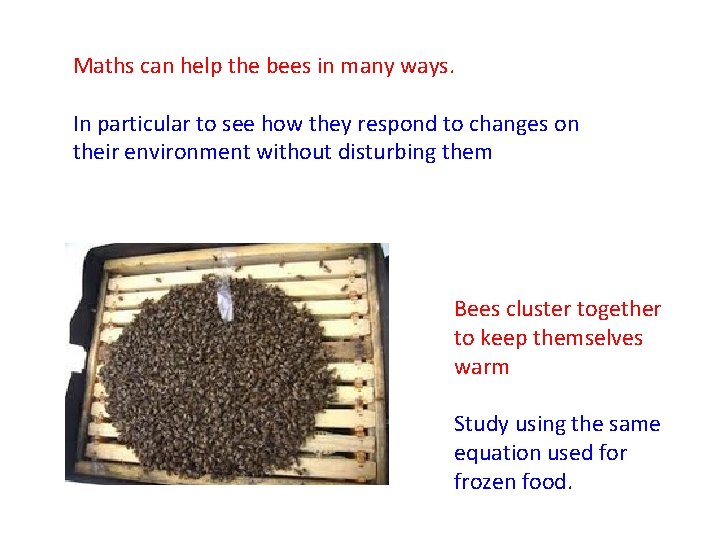 Maths can help the bees in many ways. In particular to see how they