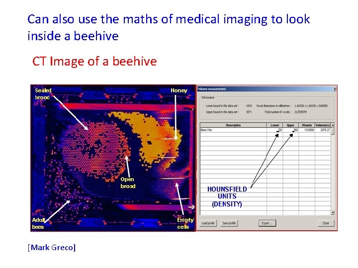 Can also use the maths of medical imaging to look inside a beehive CT