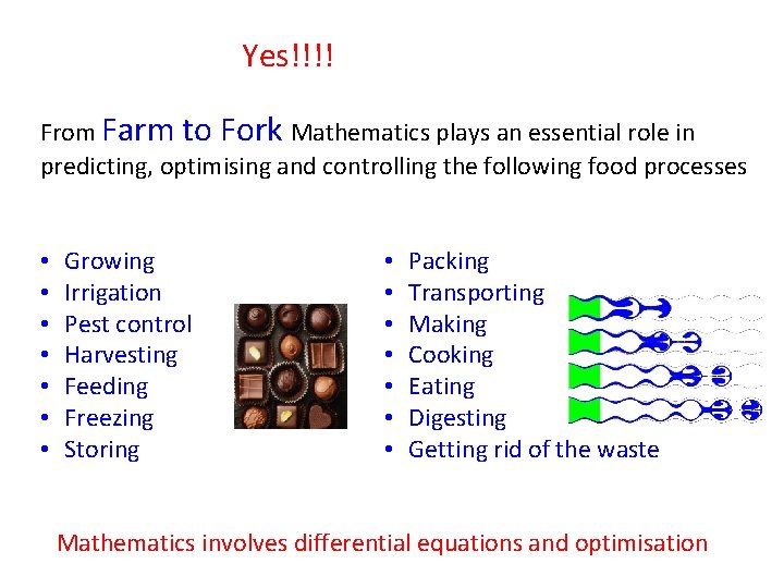 Yes!!!! From Farm to Fork Mathematics plays an essential role in predicting, optimising and
