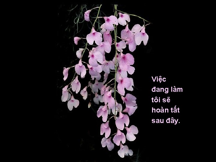 Việc đang làm tôi sẽ hoàn tất sau đây. 