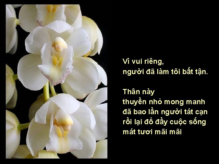Vì vui riêng, người đã làm tôi bất tận. Thân này thuyền nhỏ mong