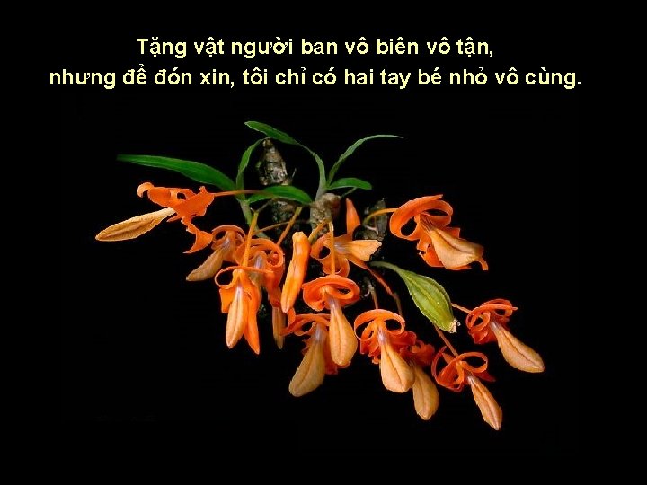 Tặng vật người ban vô biên vô tận, nhưng để đón xin, tôi chỉ