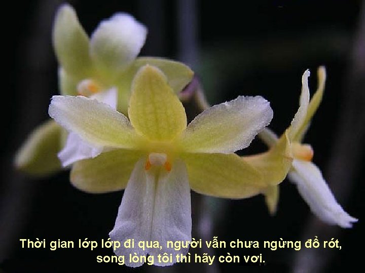 Thời gian lớp đi qua, người vẫn chưa ngừng đổ rót, song lòng tôi
