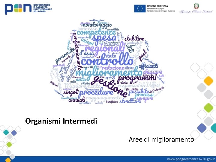 Organismi Intermedi Aree di miglioramento 