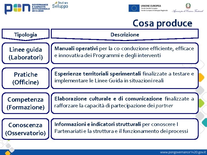 Cosa produce Tipologia Descrizione Linee guida (Laboratori) Manuali operativi per la co-conduzione efficiente, efficace