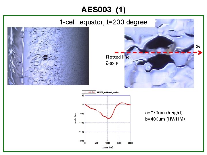AES 003 (1) 1 -cell equator, t=200 degree 96 Plotted line Z-axis a=~70 um