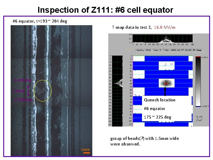 Inspection of Z 111: #6 cell equator #6 equator, t=193 ~ 204 deg T-map
