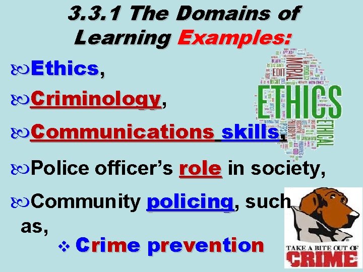 3. 3. 1 The Domains of Learning Examples: Ethics, Criminology Communications skills, Police officer’s