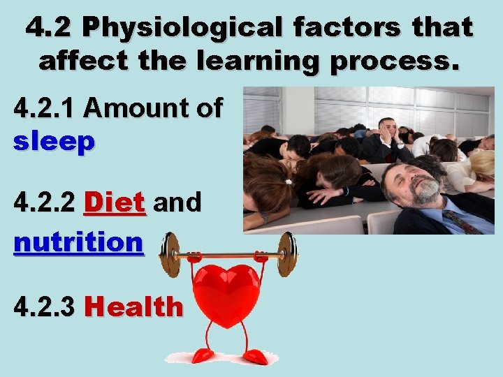 4. 2 Physiological factors that affect the learning process. 4. 2. 1 Amount of