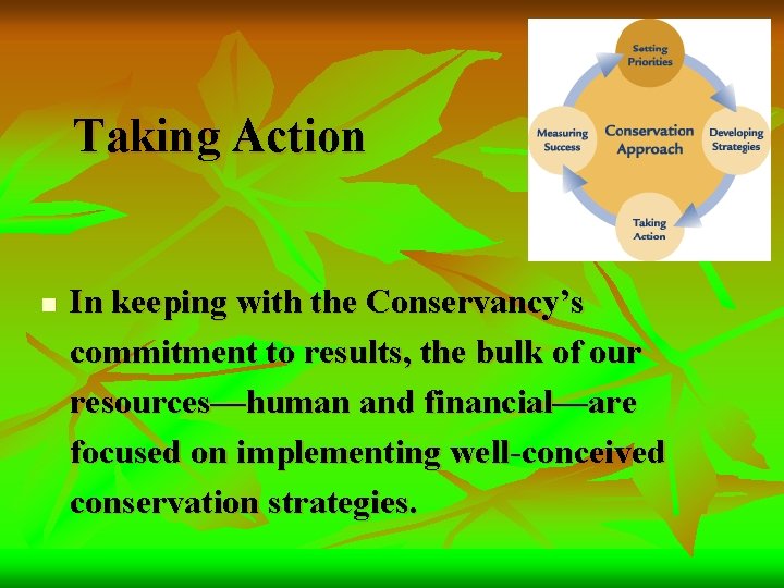 Taking Action n In keeping with the Conservancy’s commitment to results, the bulk of