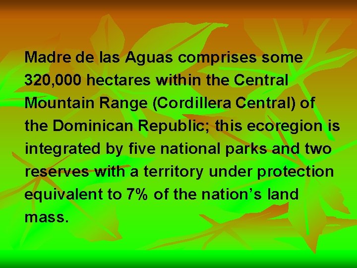 Madre de las Aguas comprises some 320, 000 hectares within the Central Mountain Range