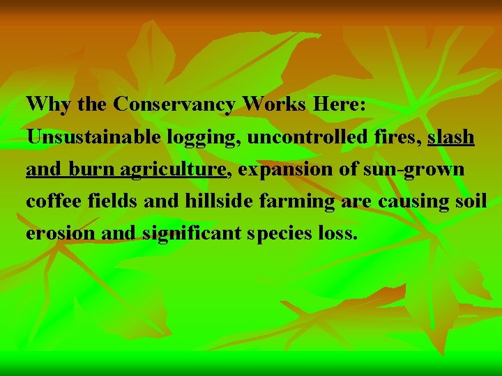 Why the Conservancy Works Here: Unsustainable logging, uncontrolled fires, slash and burn agriculture, expansion