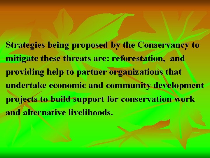 Strategies being proposed by the Conservancy to mitigate these threats are: reforestation, and providing