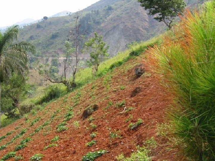 Agriculture on high slope 