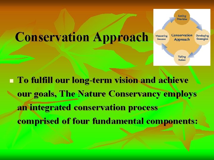Conservation Approach n To fulfill our long-term vision and achieve our goals, The Nature