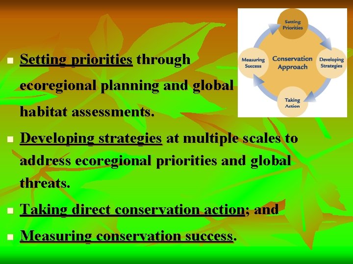 n Setting priorities through ecoregional planning and global habitat assessments. n Developing strategies at