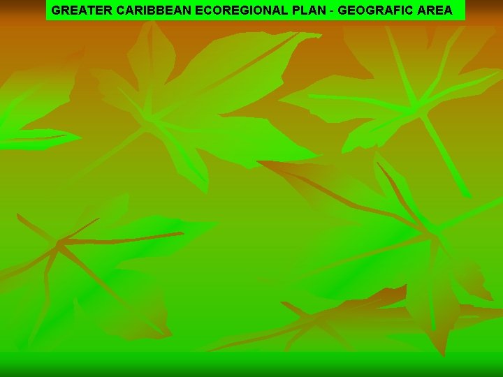 GREATER CARIBBEAN ECOREGIONAL PLAN - GEOGRAFIC AREA 