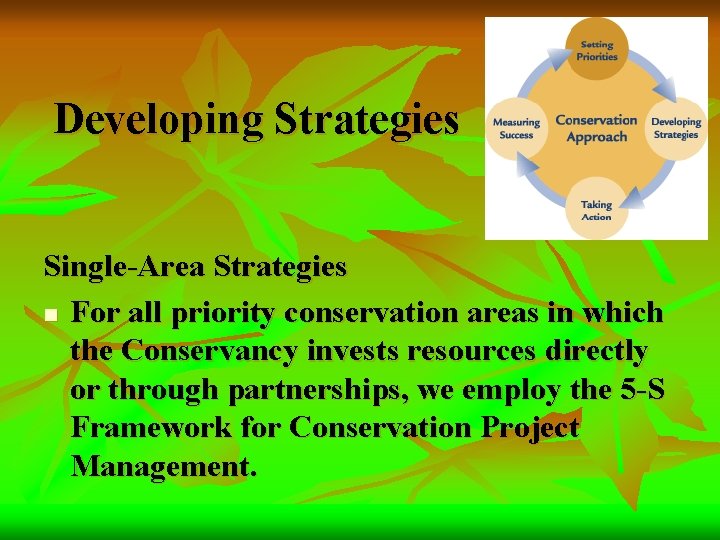 Developing Strategies Single-Area Strategies n For all priority conservation areas in which the Conservancy