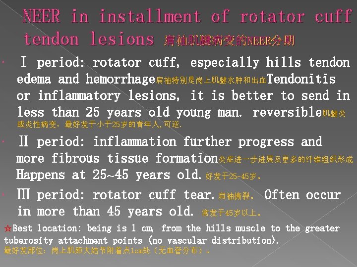 NEER in installment of rotator cuff tendon lesions 肩袖肌腱病变的NEER分期 Ⅰ period: rotator cuff, especially