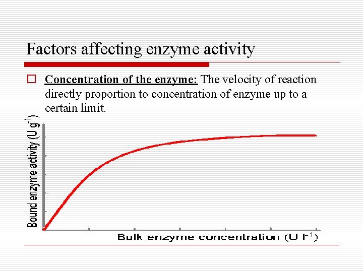 Factors affecting enzyme activity o Concentration of the enzyme: The velocity of reaction directly