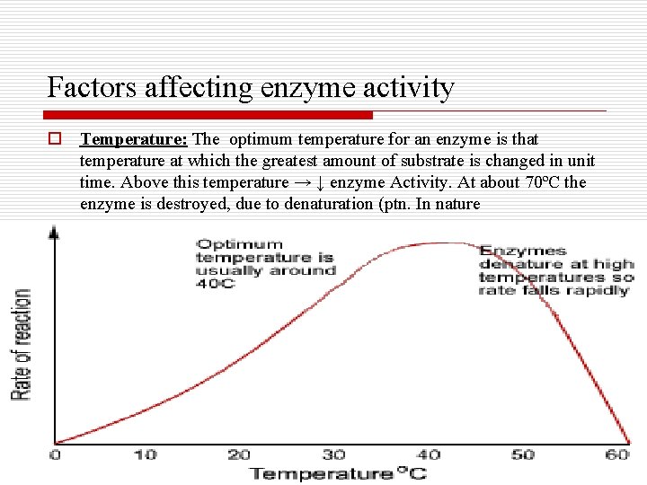 Factors affecting enzyme activity o Temperature: The optimum temperature for an enzyme is that