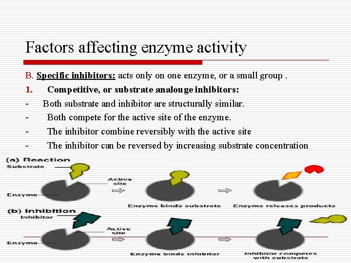 Factors affecting enzyme activity B. Specific inhibitors: acts only on one enzyme, or a