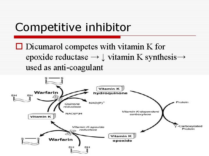 Competitive inhibitor o Dicumarol competes with vitamin K for epoxide reductase → ↓ vitamin