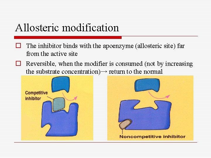 Allosteric modification o The inhibitor binds with the apoenzyme (allosteric site) far from the