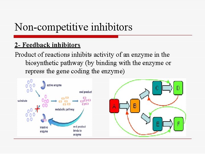 Non-competitive inhibitors 2 - Feedback inhibitors Product of reactions inhibits activity of an enzyme