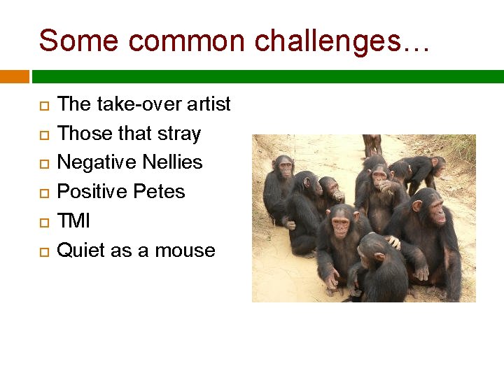 Some common challenges… The take-over artist Those that stray Negative Nellies Positive Petes TMI