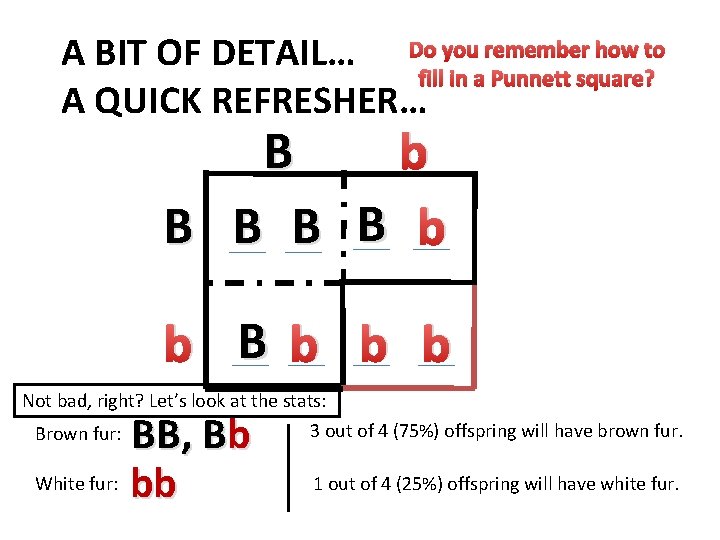 A BIT OF DETAIL… Do you remember how to fill in a Punnett square?